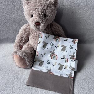 Protège carnet de santé - Modèle Lapinou